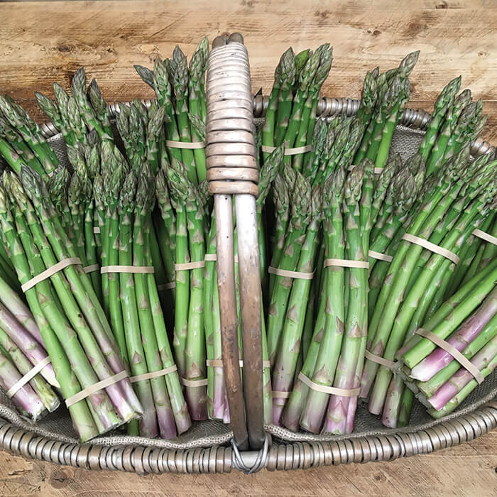 shop-asparagus-gallery